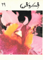 Image de couverture locale
